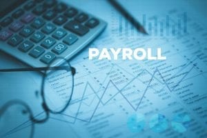 a payroll professional can help with security in payroll