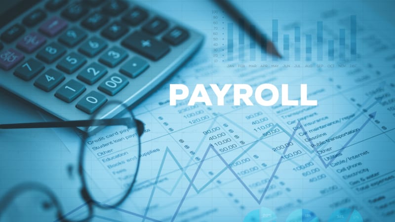 a payroll professional can help with security in payroll