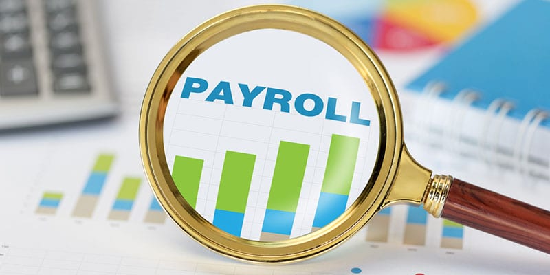 When Should You Consult a Payroll Expert?